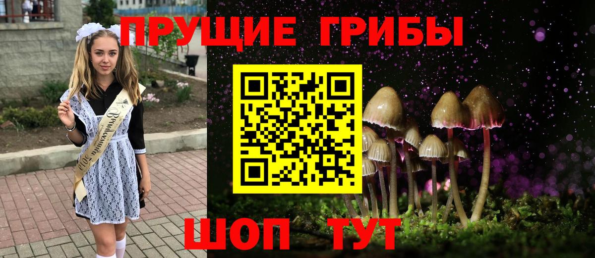 Галлюциногенные грибы MAGIC MUSHROOMS Малоярославец