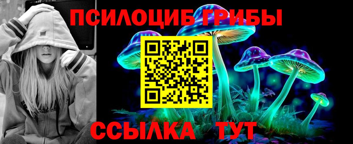 Малоярославец  Псилоцибиновые грибы MAGIC MUSHROOMS  цена   Вход с VPN 